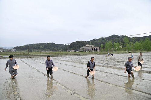 _DSC2246 - 副本.JPG