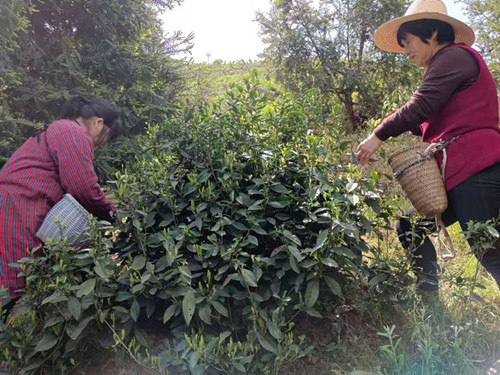 1619010680373018.jpg 4_副本.jpg