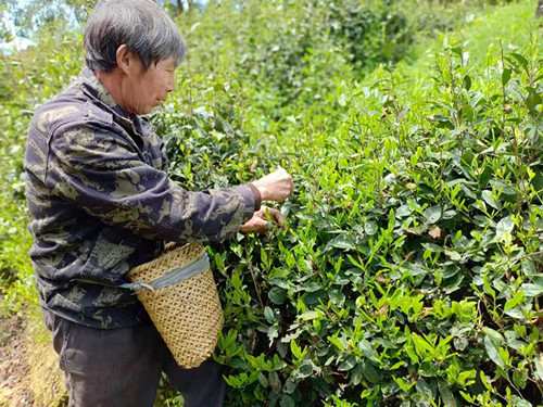 1619010692645676.jpg 1_副本.jpg