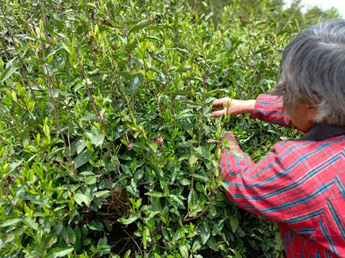 1619010701458719.jpg 3_副本.jpg