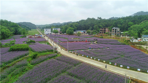 图片14_副本.jpg