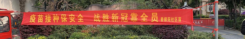 图片10.png