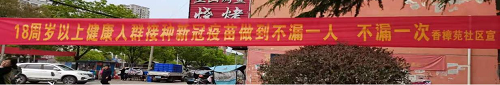图片11.png