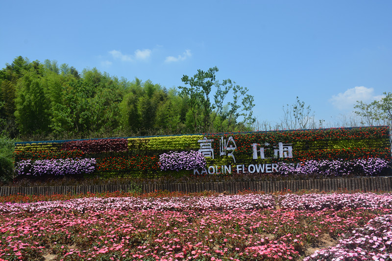 高岭花海_副本.jpg