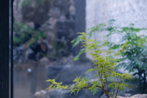 14_副本.jpg