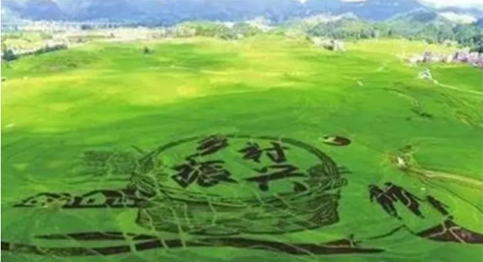 9.png