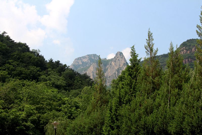IMG_7718_副本_副本.jpg