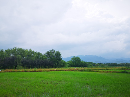 1624277009466765.jpg 1_副本.jpg