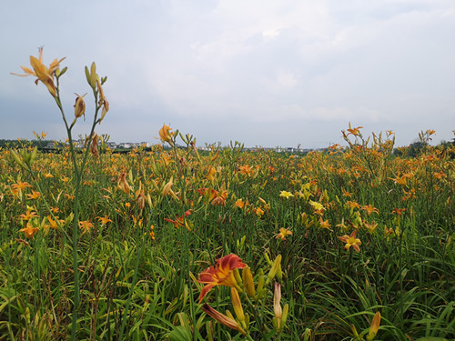 1624277024134444.jpg 4_副本.jpg