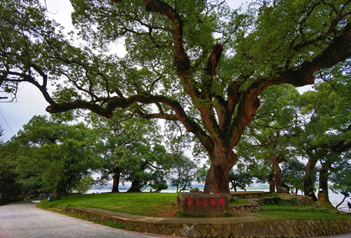 1624278182926308.jpg 2_副本.jpg