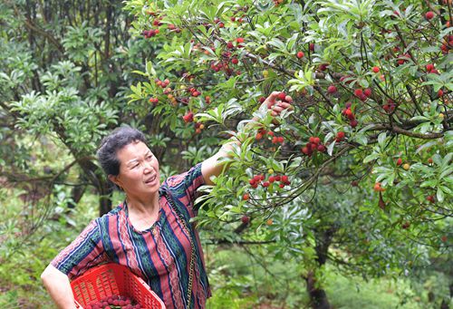 DSC_5155 - 副本.JPG