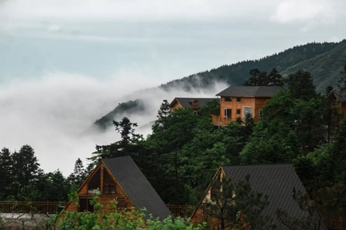 mmexporte0beb3d1624f2e3fe845f6e16b5d5fa4_1625527 - 副本.jpg