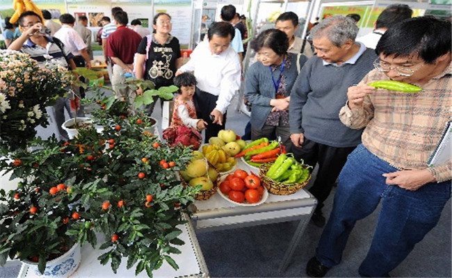 Img266853714_副本.jpg