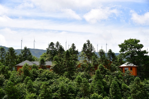 DSC_7658 - 副本.JPG