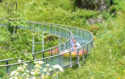 DSC_7877 - 副本 (2).JPG