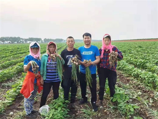微信图片_20210713215209.jpg