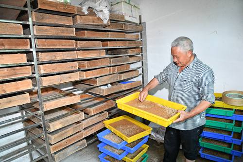 DSC_9096 - 副本.JPG