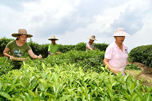 DSC_9273 - 副本.JPG