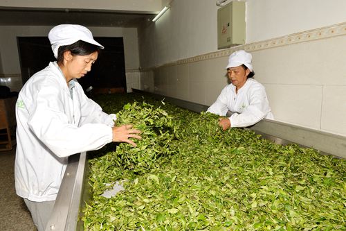 DSC_5551 - 副本.JPG