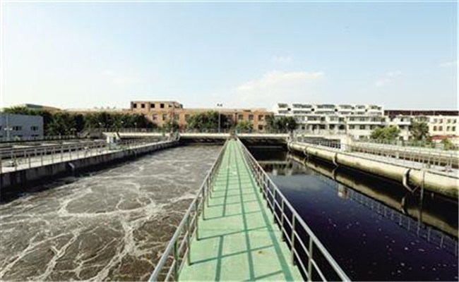 1e180010626cef1a9c36_副本.jpg