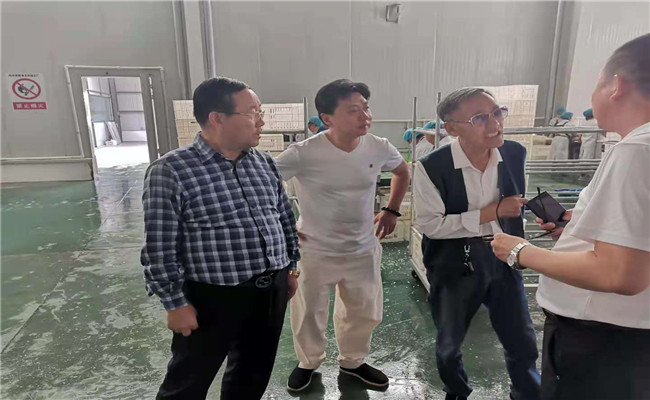 微信图片_20210831075625_副本.jpg
