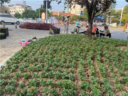 微信图片_20210918092143.jpg