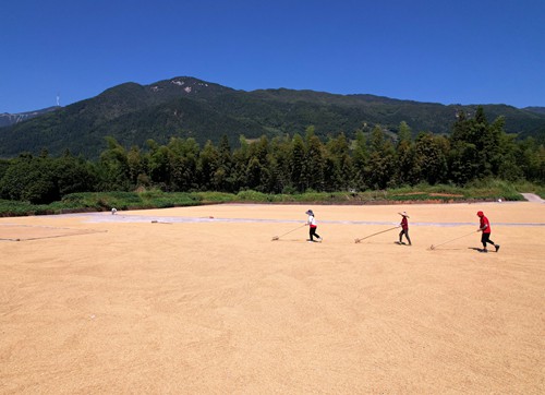 DJI_0446 - 副本.JPG