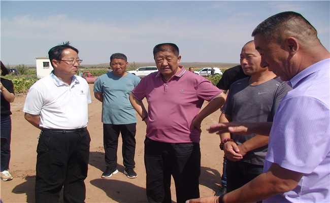 1632379891219365.jpg DSC00320_副本.jpg
