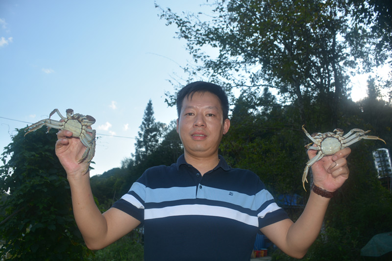 这个螃蟹真肥_副本.jpg
