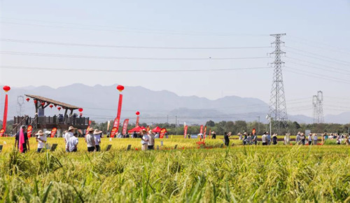 1632749308683366.jpg 3_副本.jpg