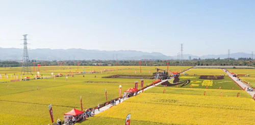 1632749363370769.jpg 8_副本.jpg