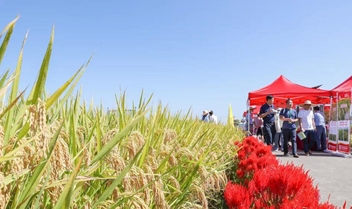 1632749387185491.jpg 4_副本.jpg