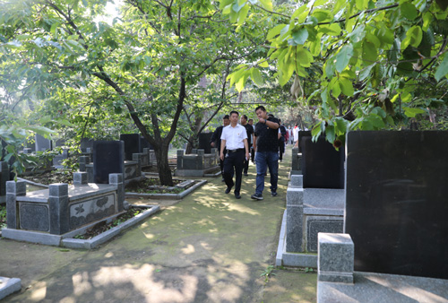 imgapp-(4).jpg