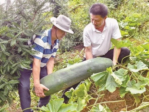 1633942154991522.jpg 1_副本.jpg