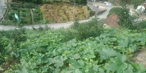 1633942164331195.jpg 2_副本.jpg