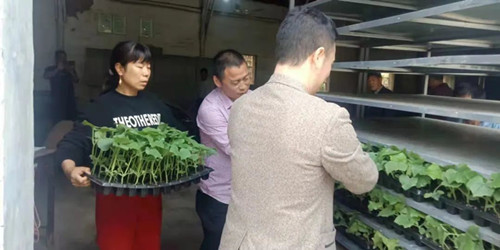 1633942179284755.jpg 3_副本.jpg