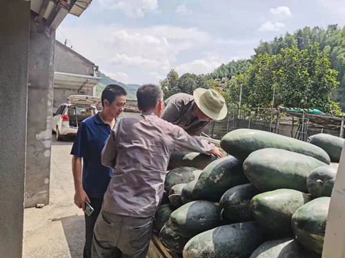 1633942226810722.jpg 5_副本.jpg