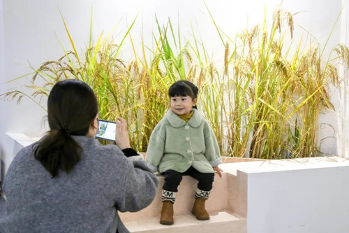 1635007045769553.jpg 9_副本.jpg