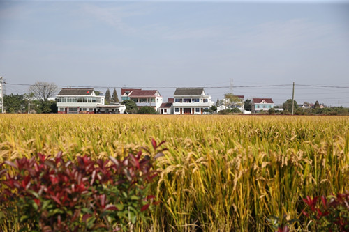 1635929512146556.jpg 6_副本.jpg