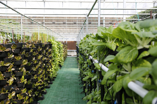 1635930360235599.jpg 1_副本.jpg