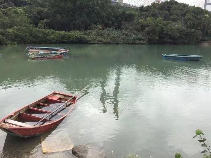 1636002267440785.jpg image001.jpg