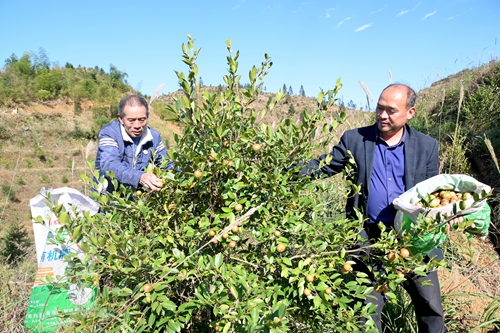 1636375232313530.jpg DSC_4166 - 副本.JPG