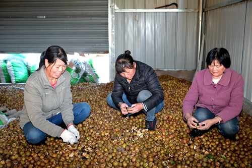 1636375277689395.jpg DSC_4191 - 副本.JPG
