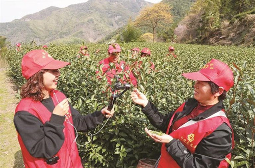 1636980360537412.jpg 1_副本.jpg