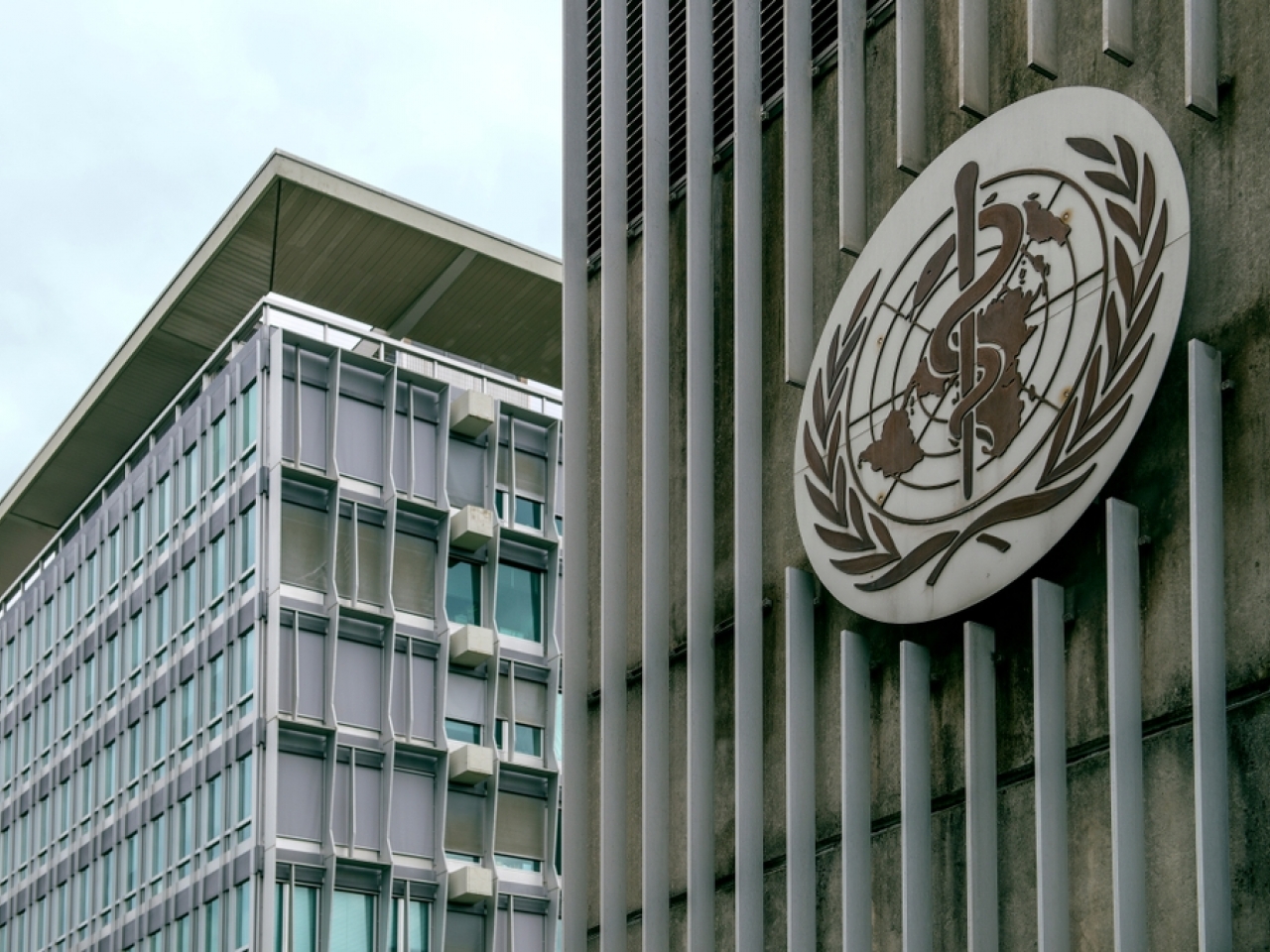 1637988402177539.jpg 世衛說初步證據顯示,與其他需關注的變種新冠病毒相比,Omicron的再感染風險可能更高。(shutterstock).jpg