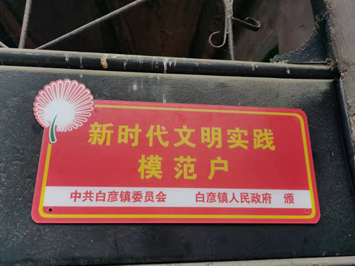 平邑县白彦镇文明实践树新风，敲锣打鼓送荣誉2.jpg