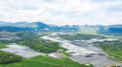 1638504153190727.jpg 6_副本.jpg