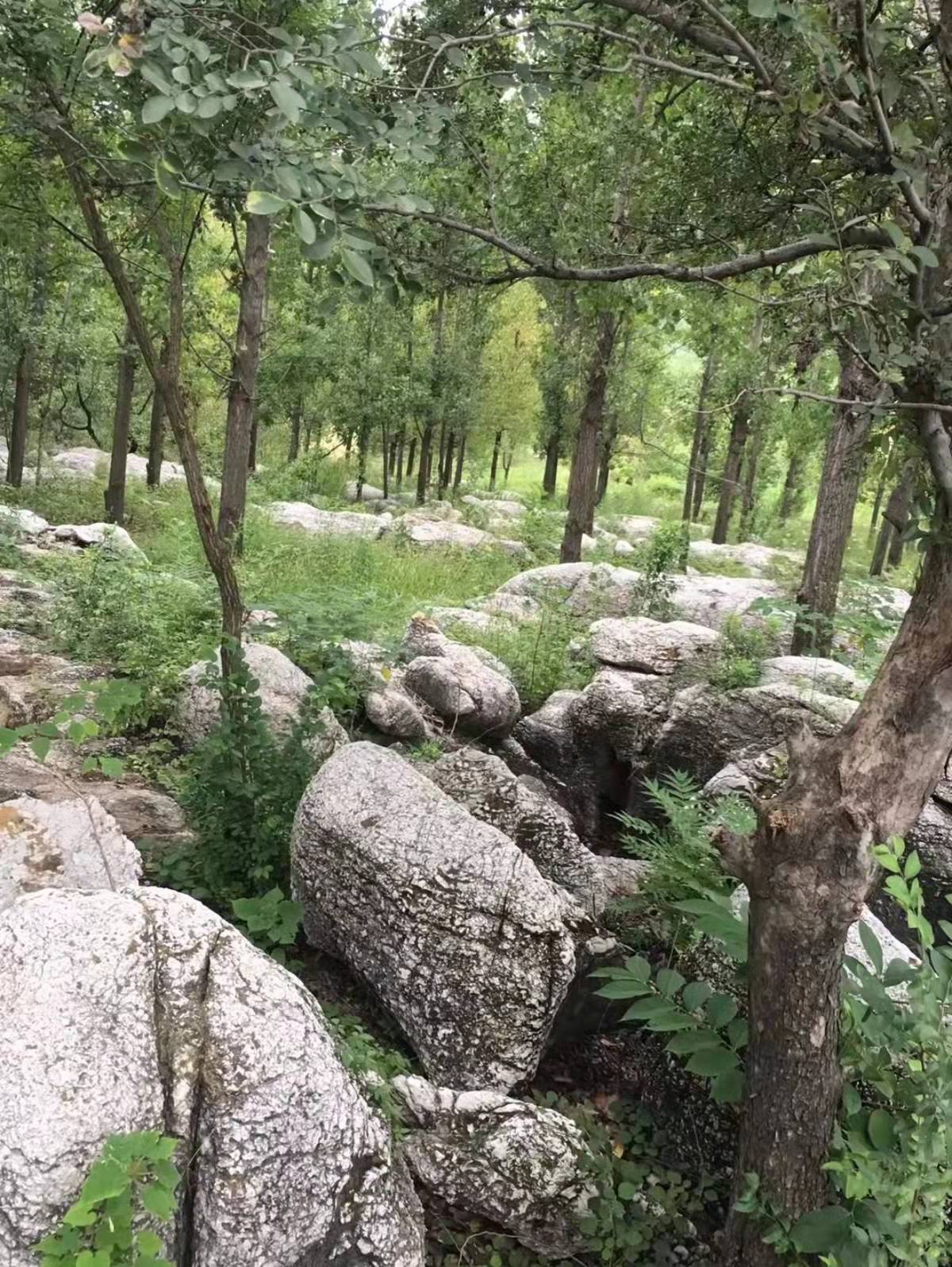 1640936423235950.jpg