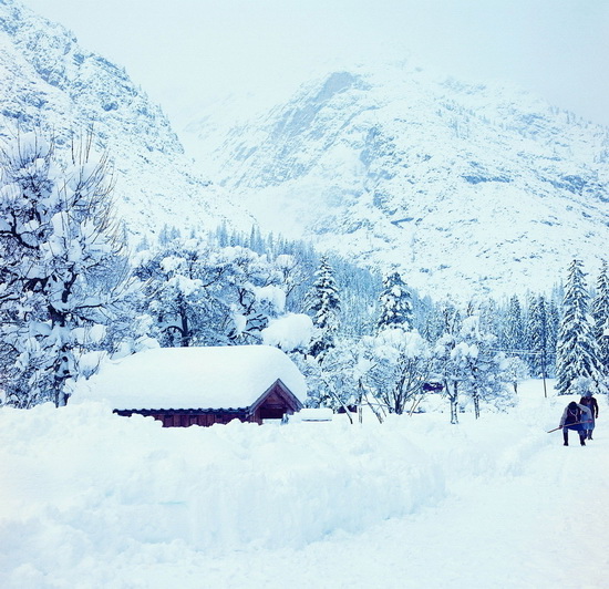 塞北雪景1.jpg