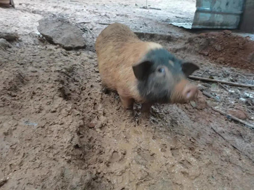 1645020330875405.jpg 1_副本.jpg